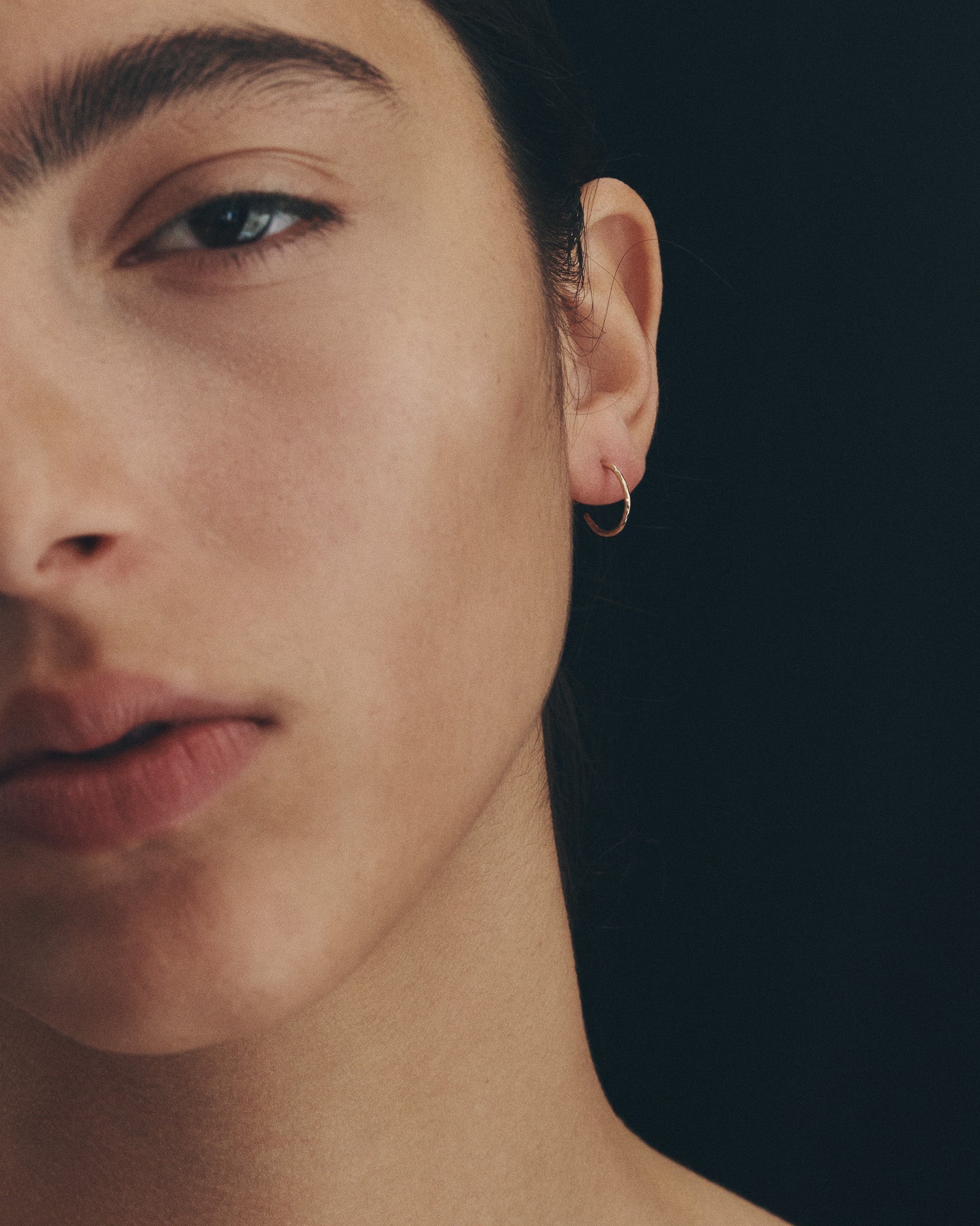 Relic Small Hoop Earrings Solid Gold