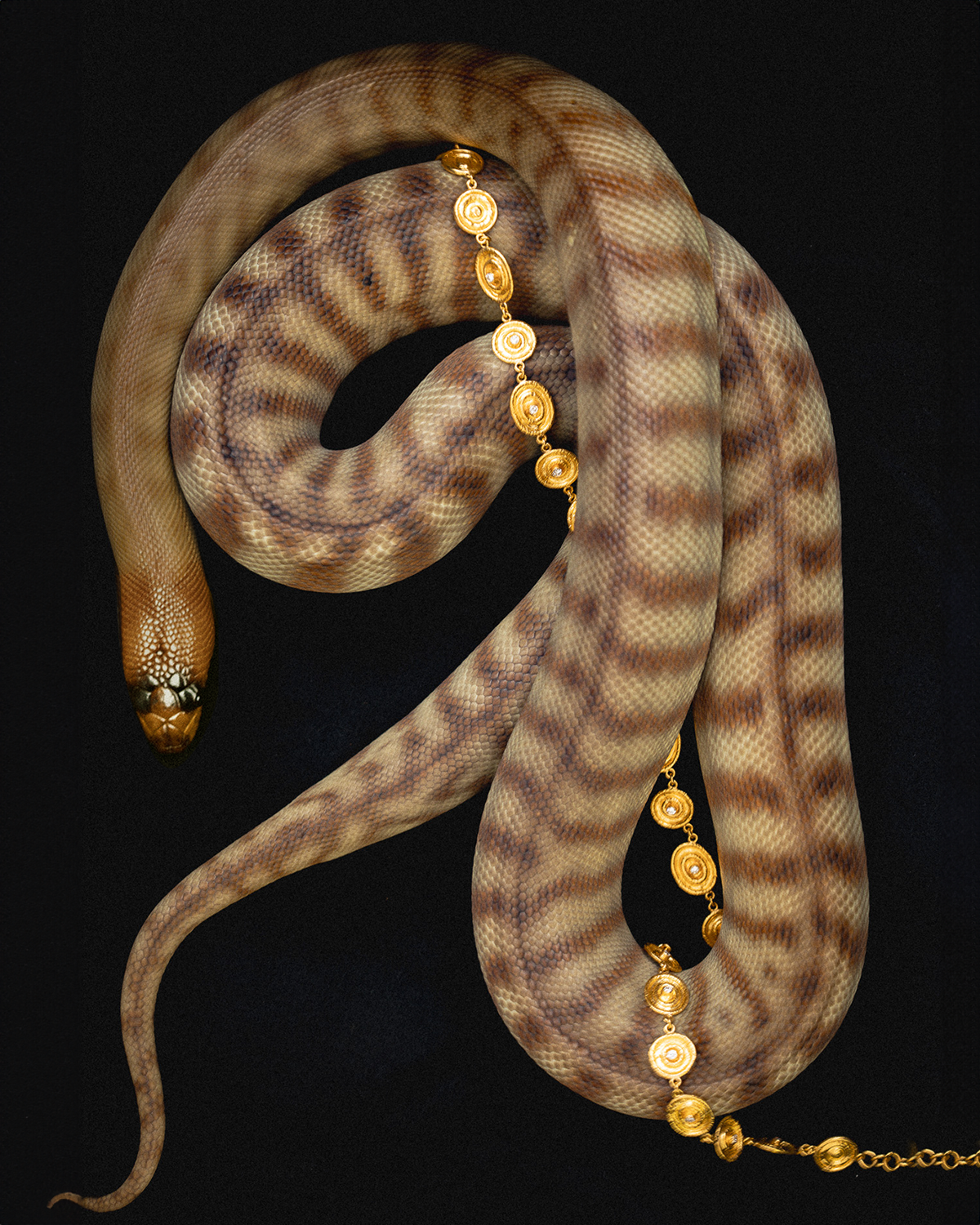 Reign Chain Diamond Solid Gold