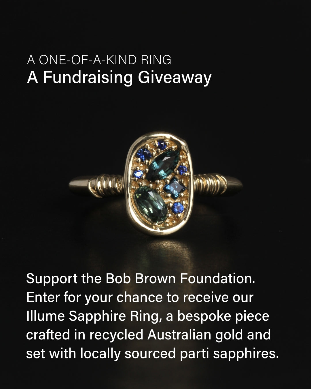 Bob Brown Fundraising Ticket