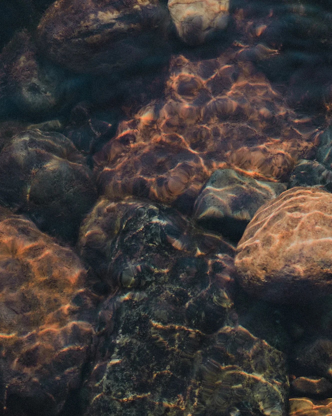 Renewable Energy at Temple