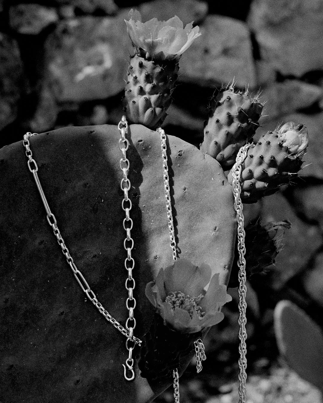 Best Sellers - Silver Edit