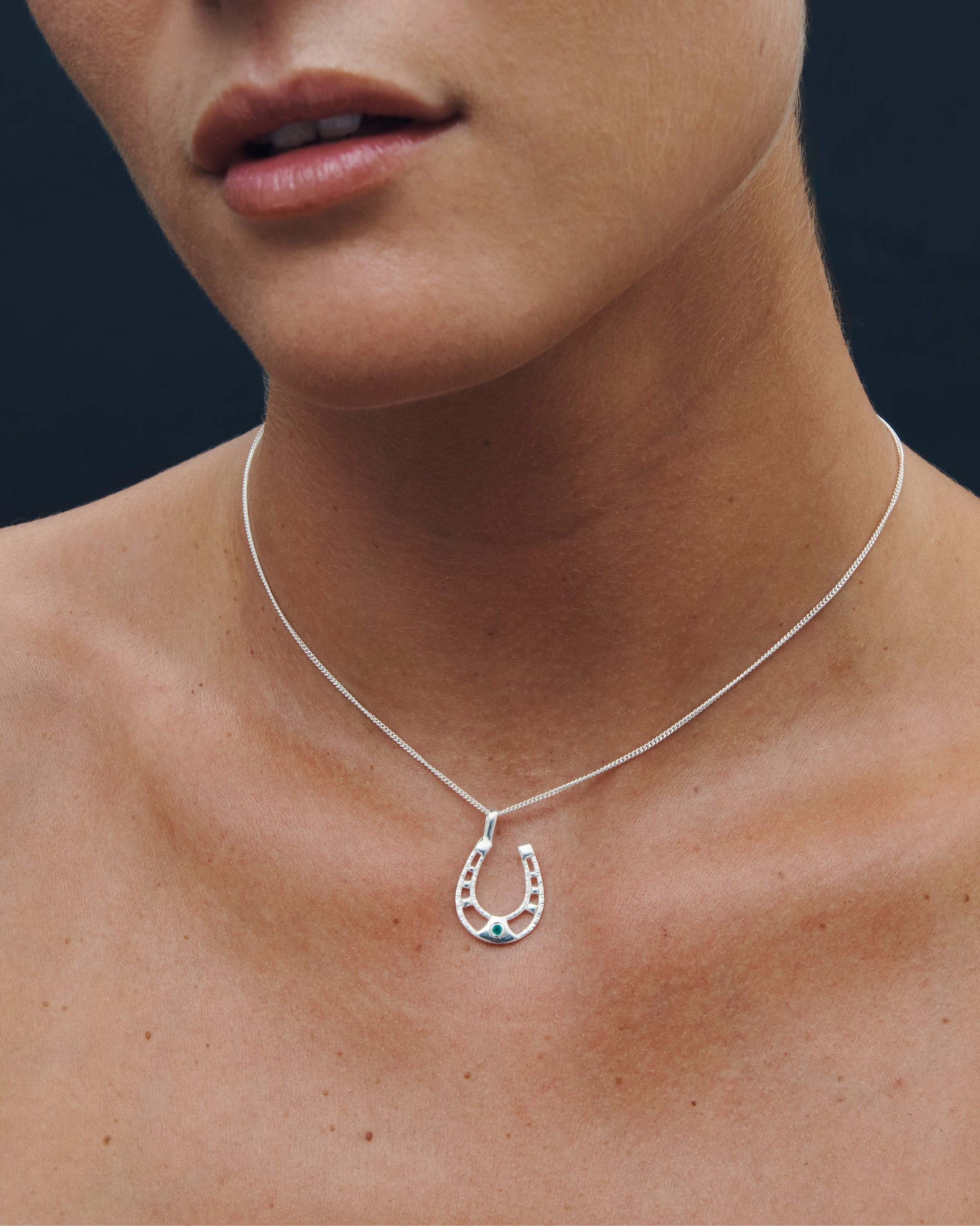Horseshoe Necklace Silver
