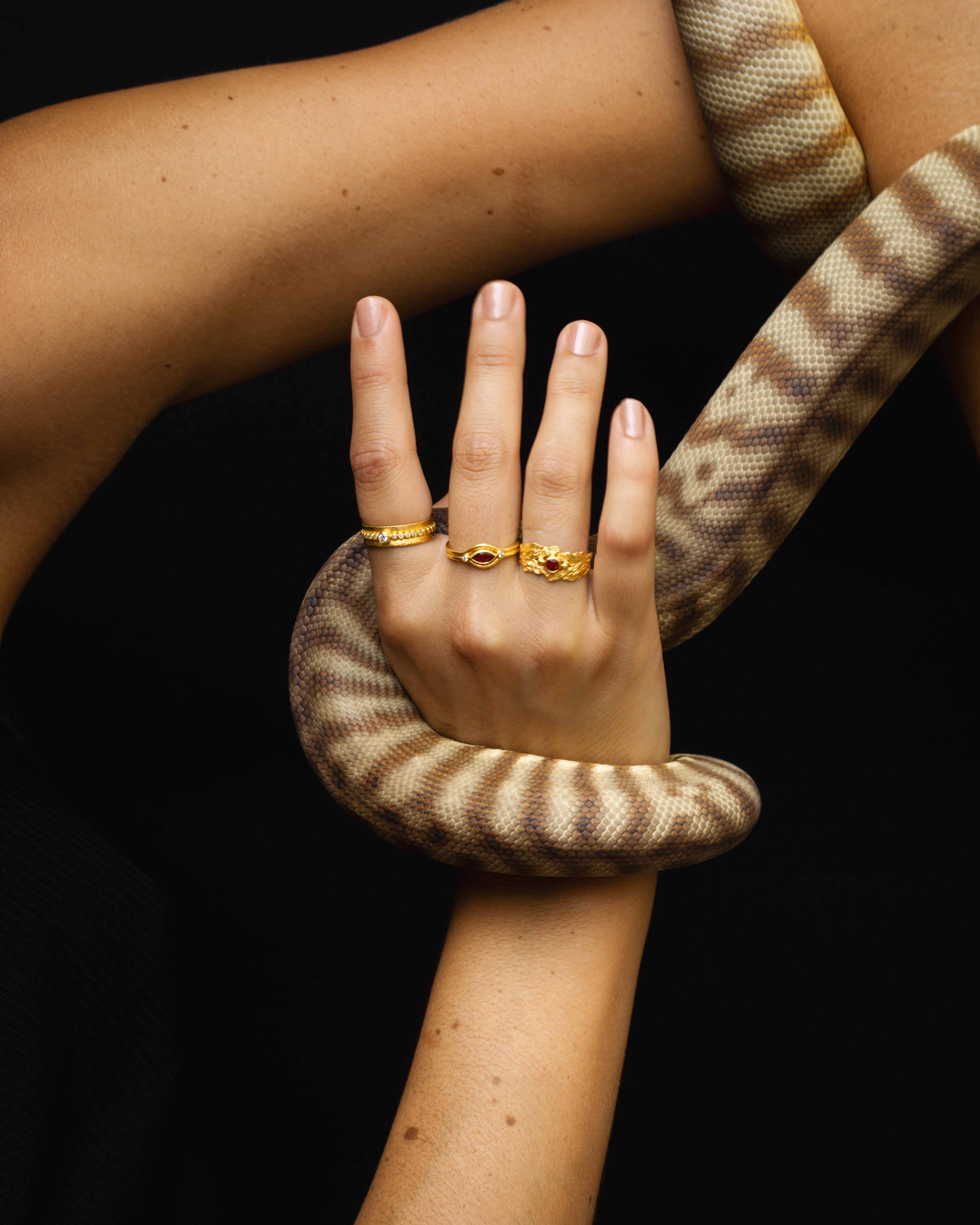 Verbena Wide Ring Ruby Solid Gold