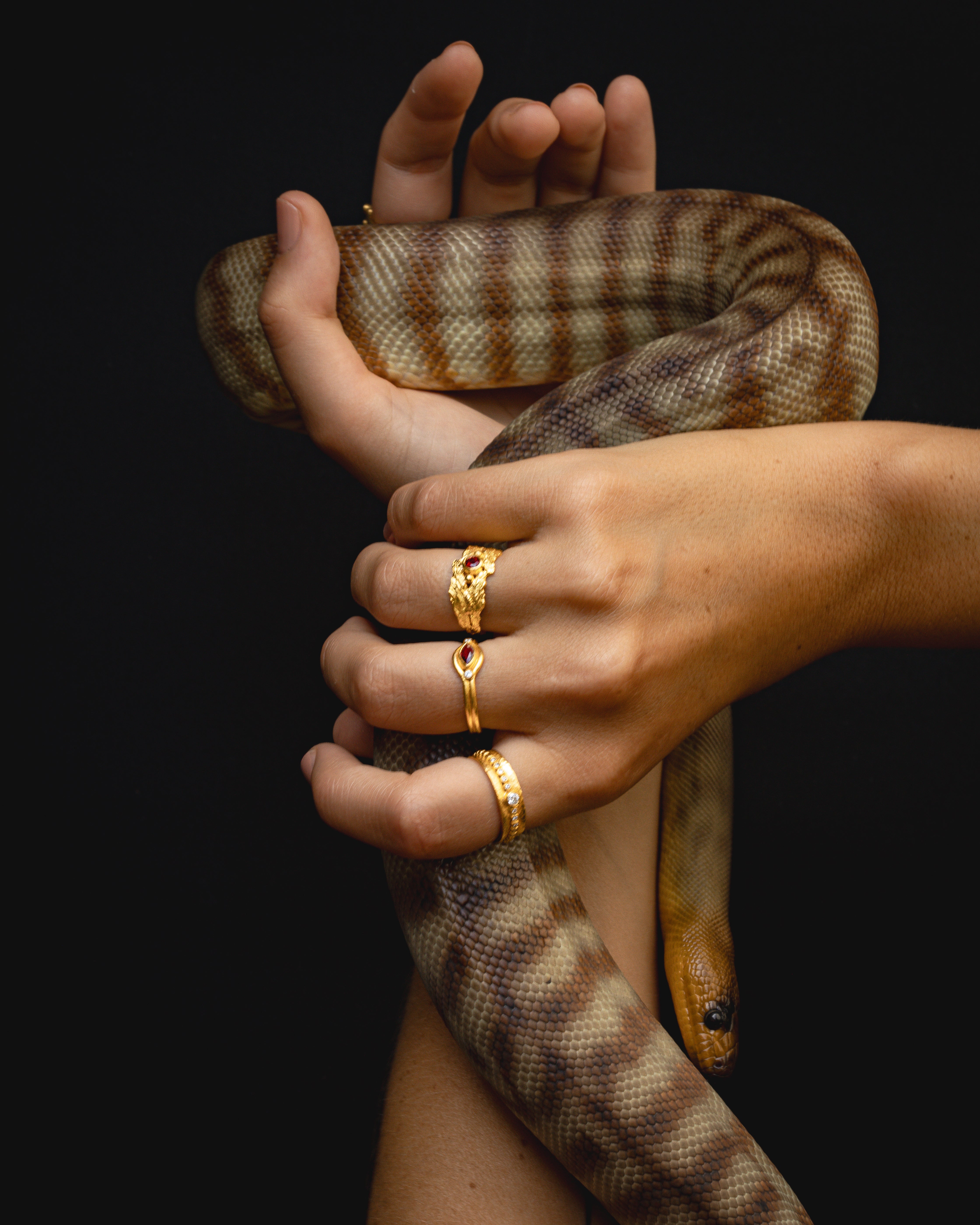 Verbena Wide Ring Ruby Solid Gold