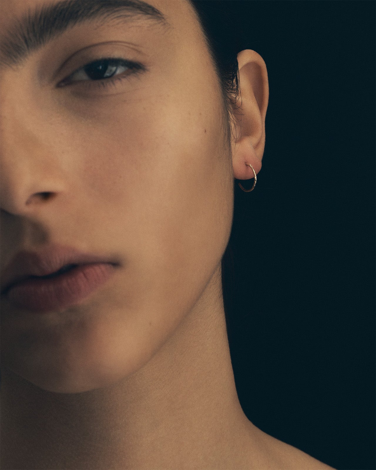 Relic Small Hoop Earrings Solid Gold