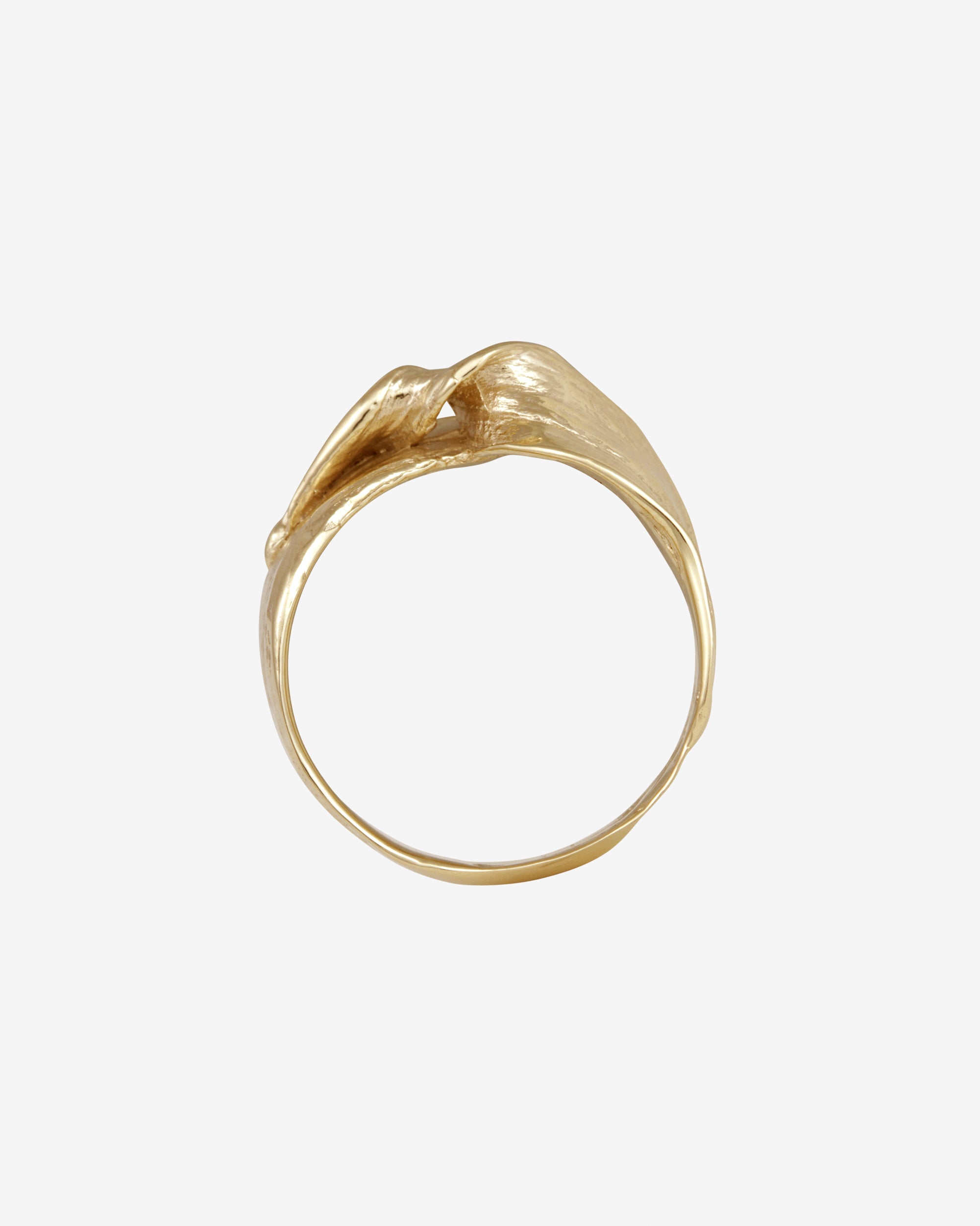 Relic VI Ring Solid Gold