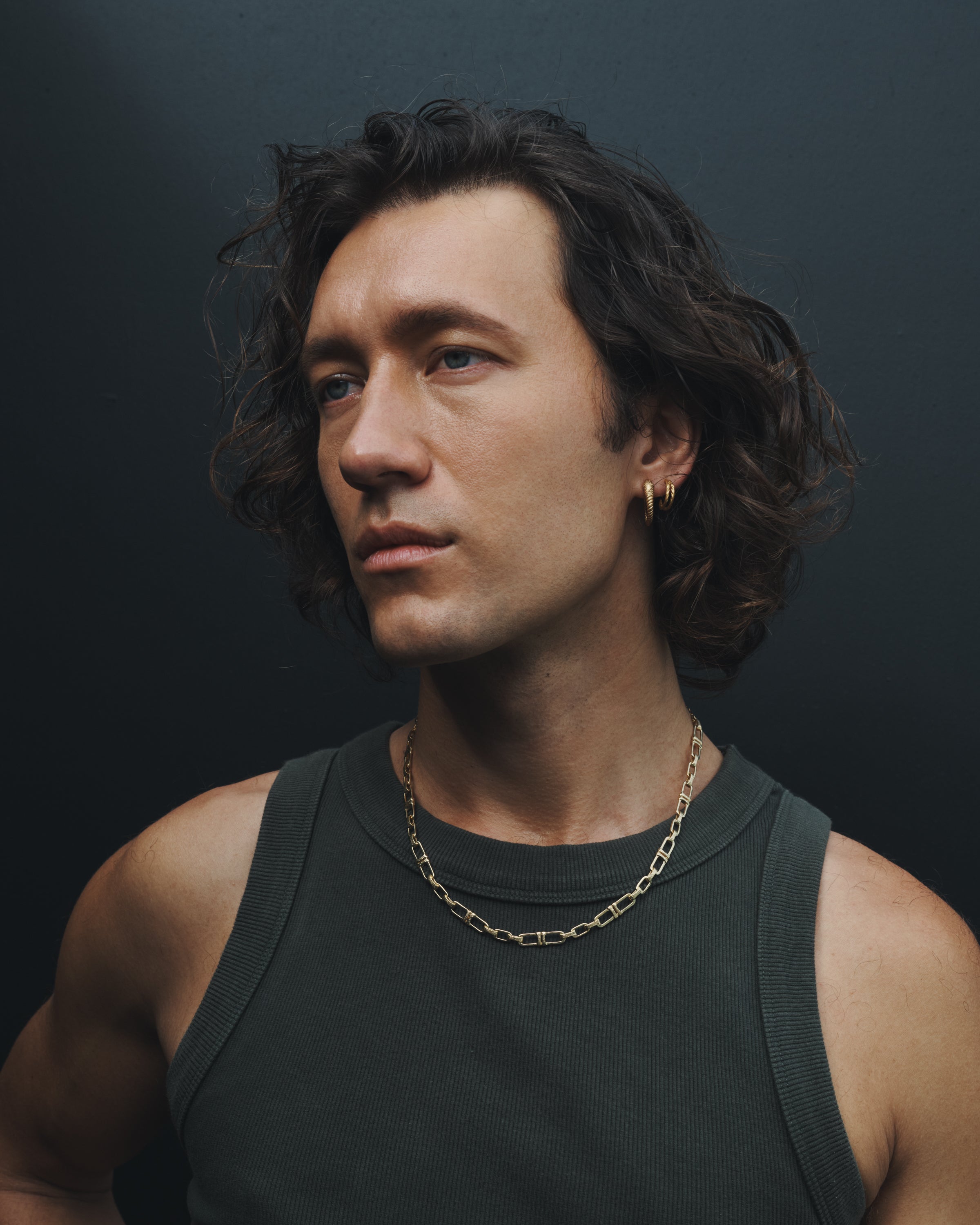 Temple of the Sun Loulon Lion Hoops Gold Vermeil